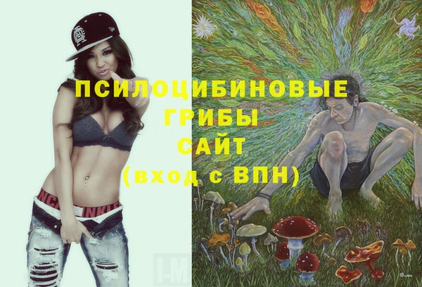 PSILOCYBIN Корсаков