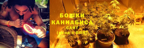 PSILOCYBIN Корсаков