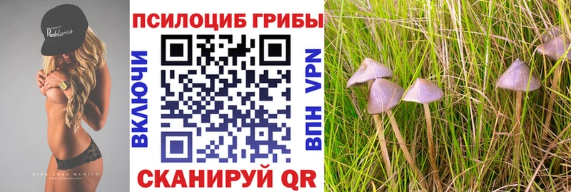 магазин наркотиков Поронайск Галлюциногенные грибы Magic Shrooms